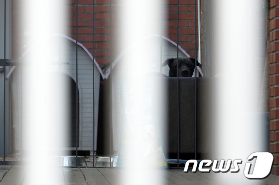 플레이그라운드 픽쳐스 이미지