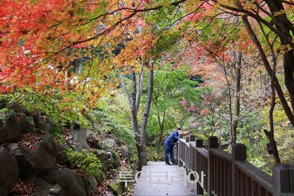 국립 백운산 자연휴양림 이미지
