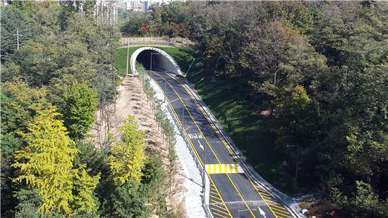 도로이 이미지