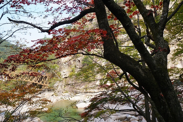 이야기꽃 이미지