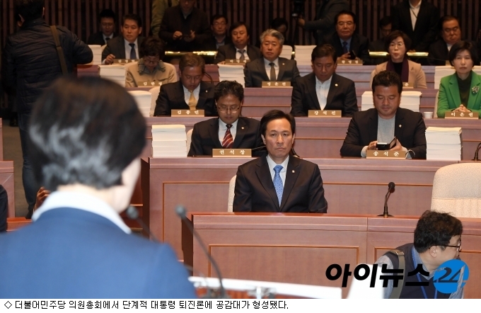 '대통령 퇴진' 단계 밟아가는 민주당, 내일 의총서 결정 - 아이뉴스24