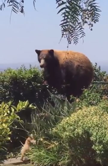 별별정원 이미지