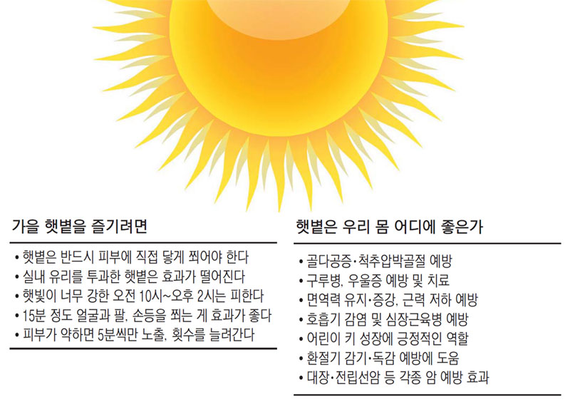 햇볕 이미지