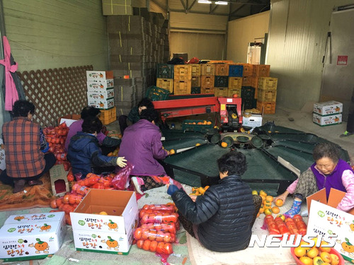 밀양인력 이미지