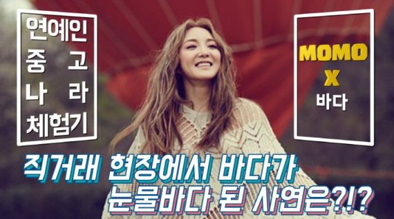 모모유통 이미지