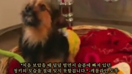 소울57 이미지