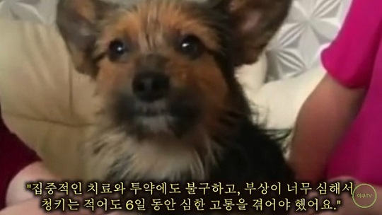 소울57 이미지