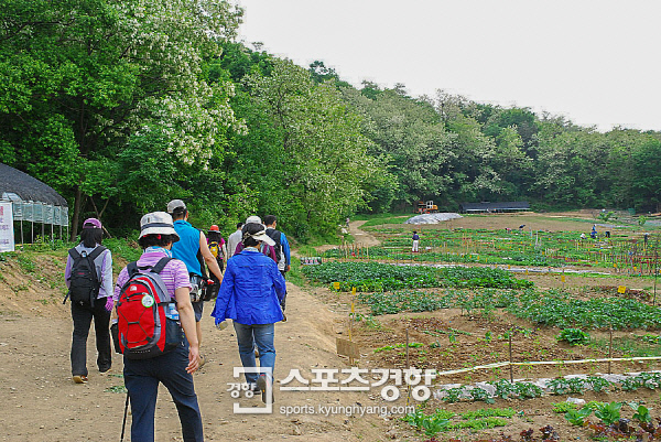 구로 지양산 숲 나들길