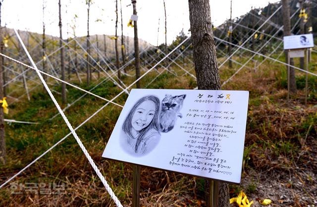 몇몇 나무 앞에는 희생자 가족의 편지를 적은 팻말이 세워져 있다.