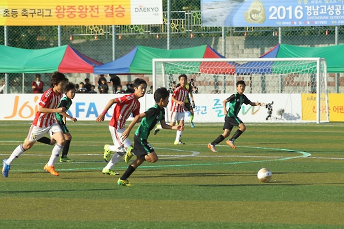 고성스포츠 이미지