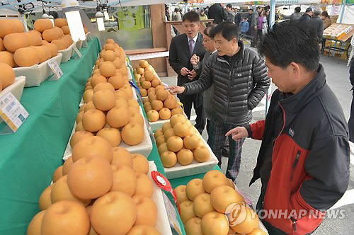 원주원예농협하나로클럽 이미지