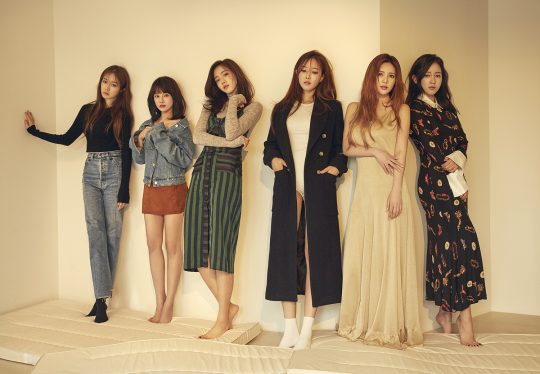 티아라 이미지
