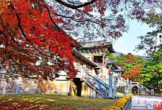 불국사 이미지