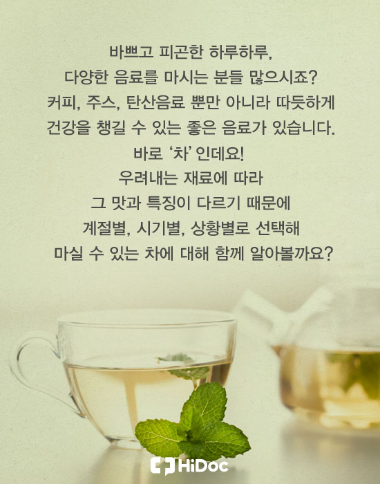 계절따라 달라지는 내 몸에 좋은 차
