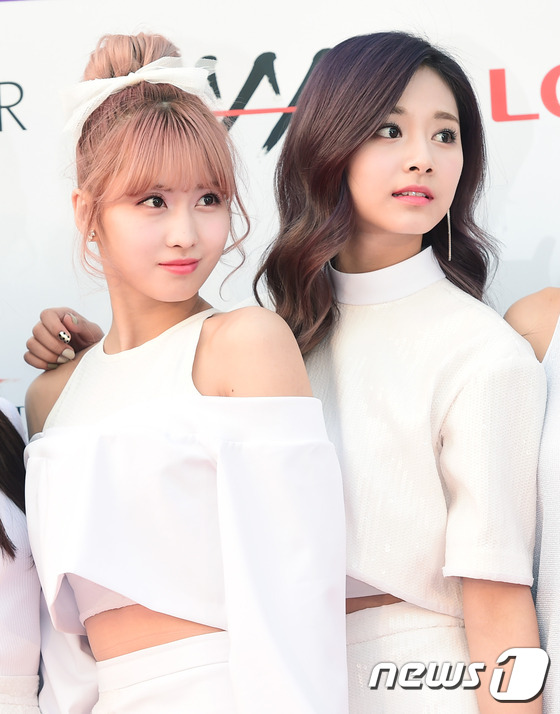 모모 이미지