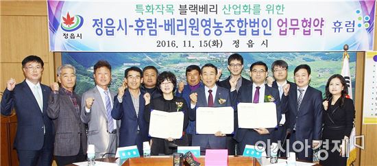 베리원 영농조합법인 이미지