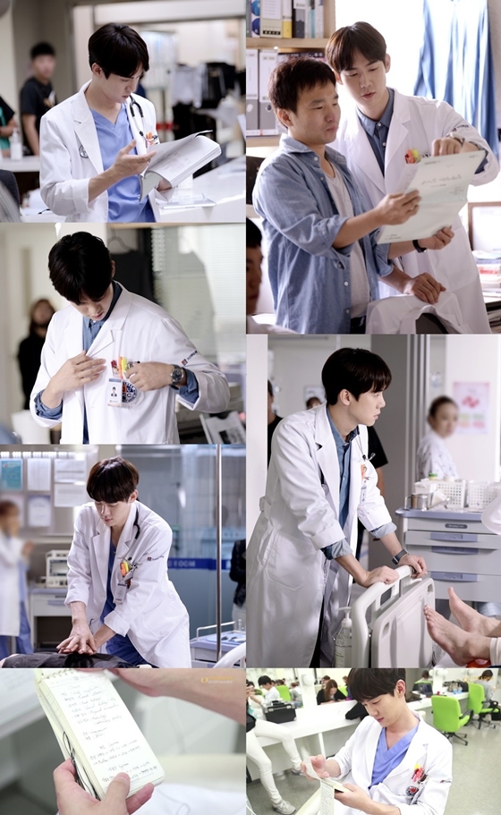 킹콩네트웍스 이미지