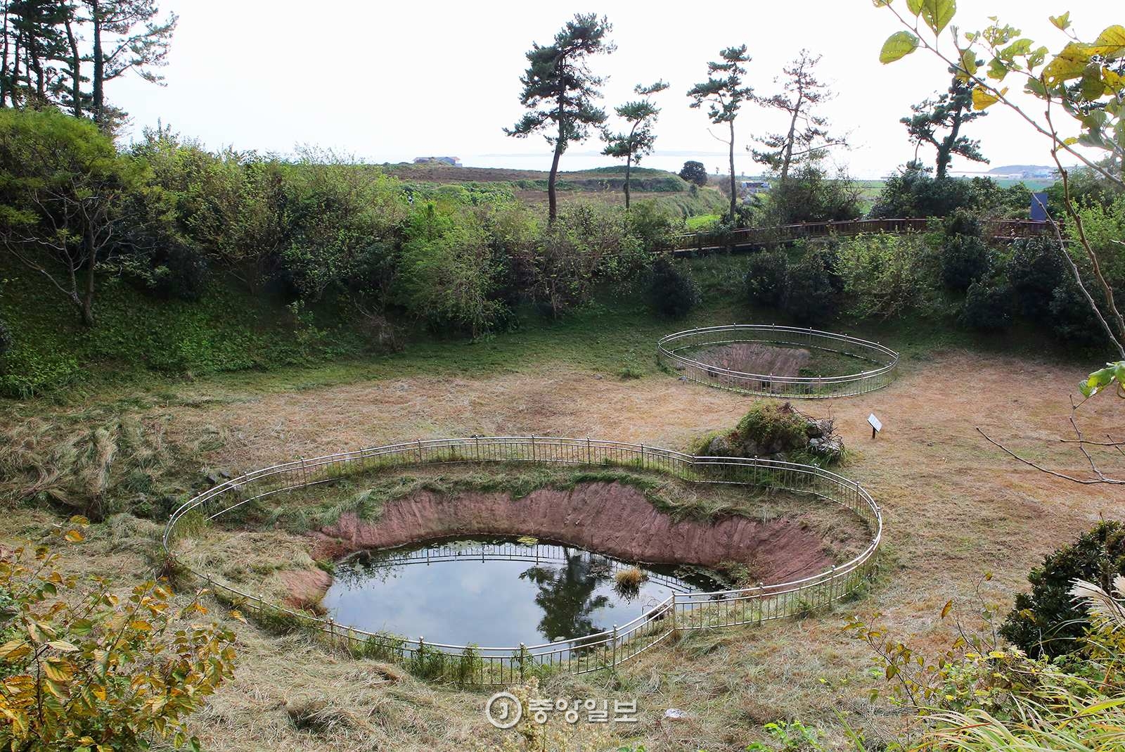 이 웅덩이 두 곳에 한때 210명이 암매장돼 있었다. 한국 현대사에서 가장 끔찍한 양민학살의 현장 중 한 곳이다.