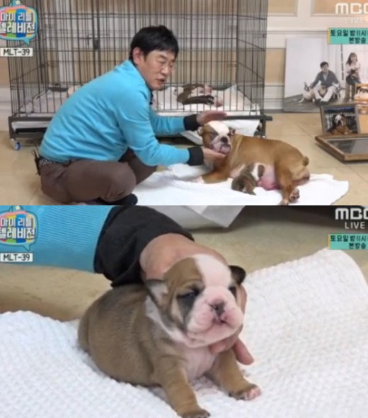 두치 이미지