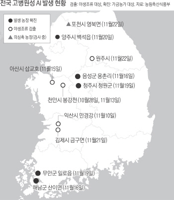 국내 최대 닭 사육지 포천서도 AI '양성'..양계농가 초비상 - 경향신문