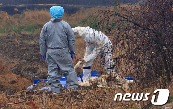 충남위생방역 이미지
