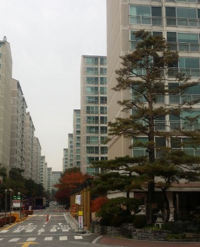 화곡보건경영고등학교 이미지
