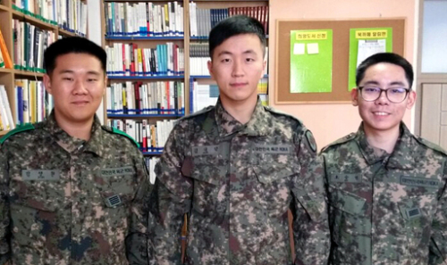해안초 이미지