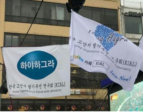 깃발 이미지