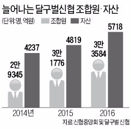 신협여행센터 이미지