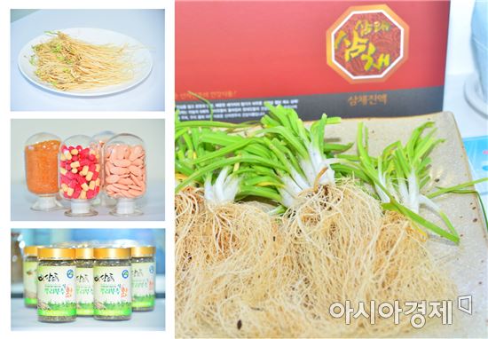 순창 이미지
