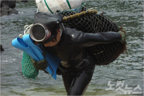 제주 해녀문화 인류무형유산 등재 축하 쇄도