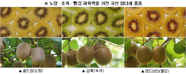 한라보성개발 이미지