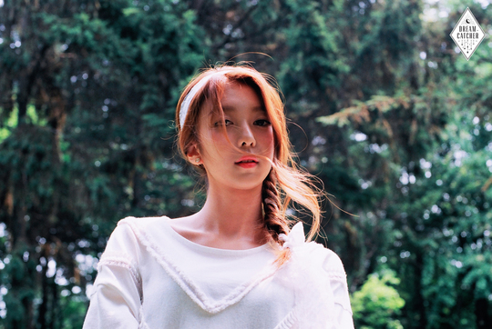 다미 이미지