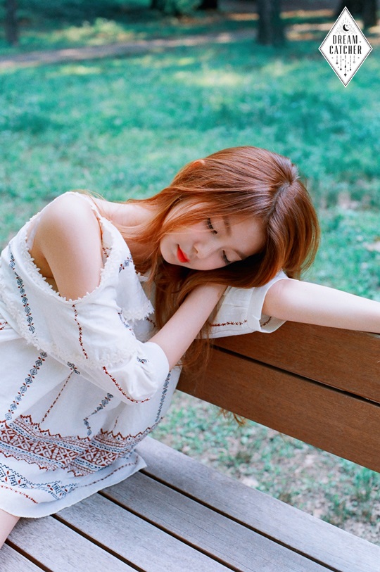 다미 이미지