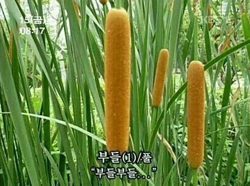 종로포차 이미지