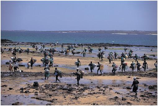 유네스코 등재 제주해녀의 삶과 문화