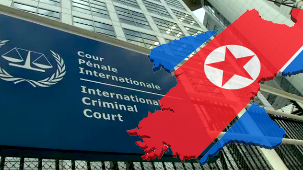 법인엔케이 이미지