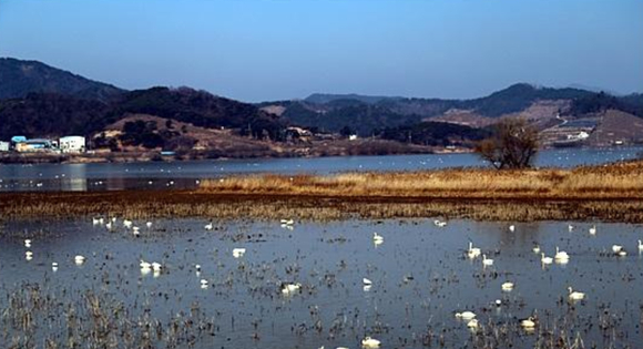 고니축산 이미지