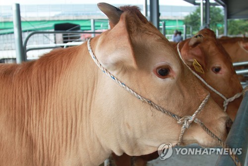 해비랑유통 이미지