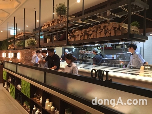 부엉이돈가스 이미지