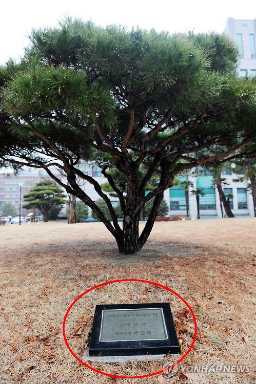 비석 이미지