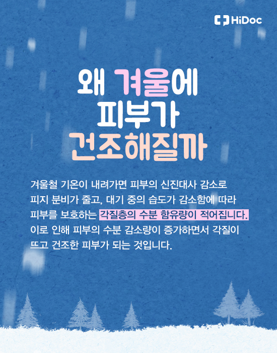 가렵고 건조한 겨울 피부고민 해결 팁 5가지