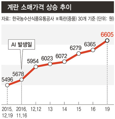 파동마트 이미지