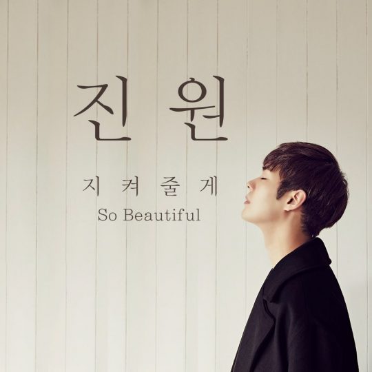 진원 이미지
