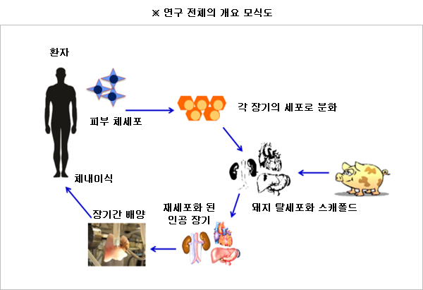 모사개발 이미지