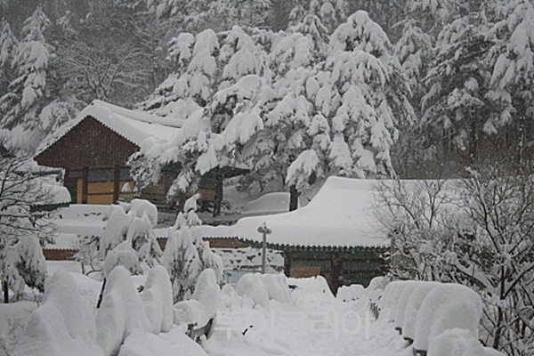 삼화사 이미지