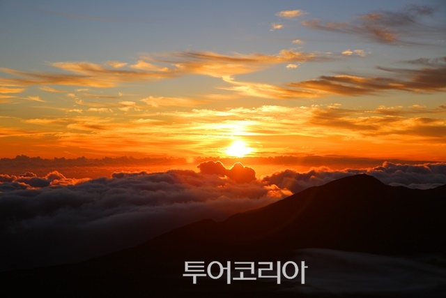 희망 이미지