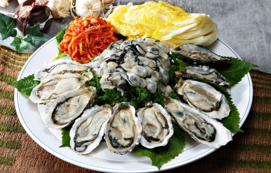 굴 이미지