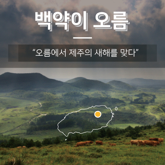 더좋은제주 이미지