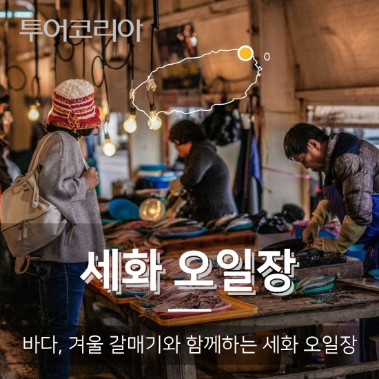 더좋은제주 이미지